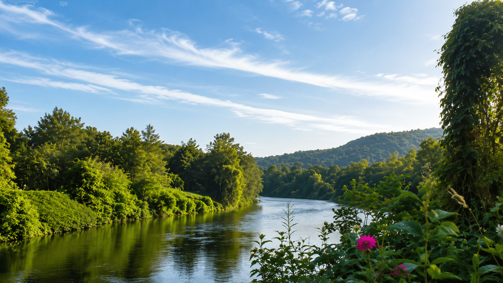 A river winding through a green wooded valley.